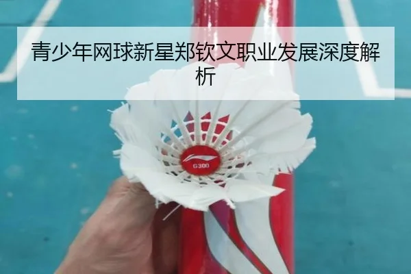 青少年网球新星郑钦文职业发展深度解析
